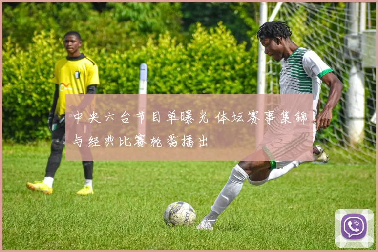 中央六台节目单曝光 体坛赛事集锦与经典比赛轮番播出